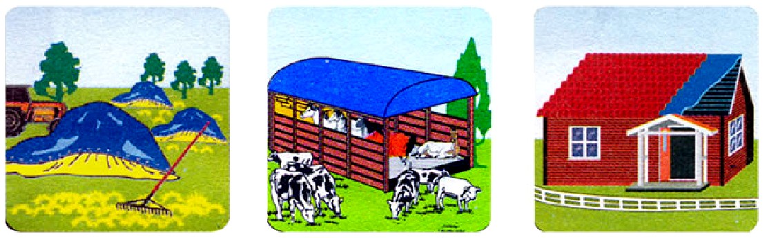 tent_18001